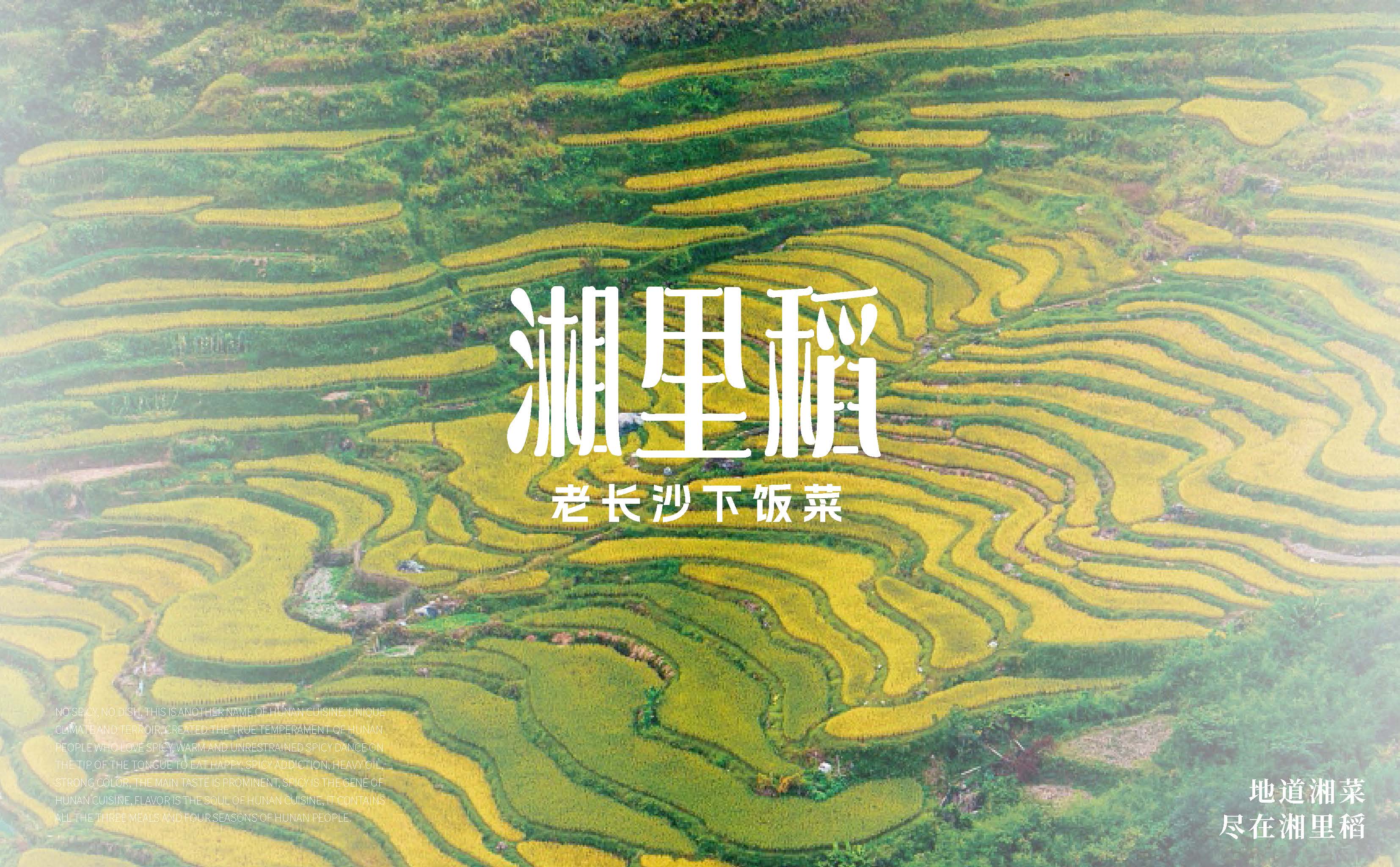 杏福平台 01429